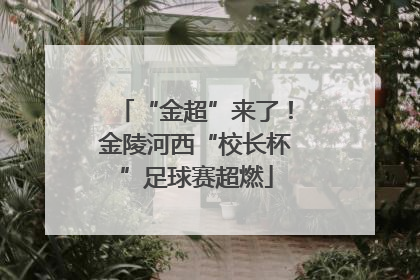 “金超”来了！金陵河西“校长杯”足球赛超燃