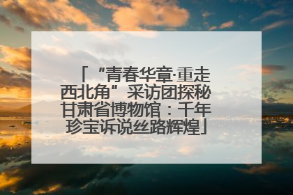 “青春华章·重走西北角”采访团探秘甘肃省博物馆：千年珍宝诉说丝路辉煌