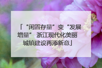 “闲置存量”变“发展增量” 浙江现代化美丽城镇建设再添新意