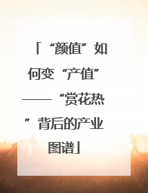 “颜值”如何变“产值”——“赏花热”背后的产业图谱