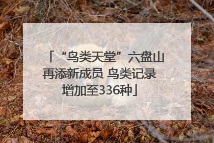 “鸟类天堂”六盘山再添新成员 鸟类记录增加至336种