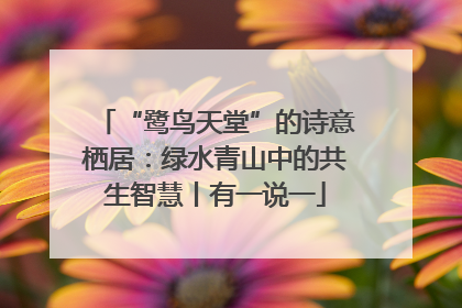 “鹭鸟天堂”的诗意栖居：绿水青山中的共生智慧丨有一说一