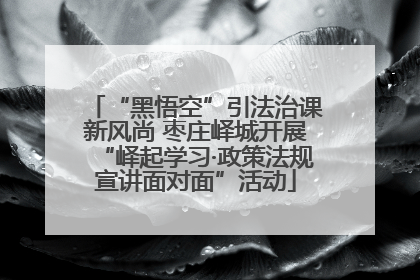 “黑悟空”引法治课新风尚 枣庄峄城开展“峄起学习·政策法规宣讲面对面”活动