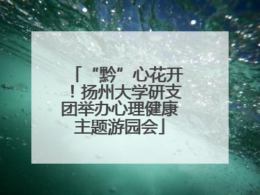 “黔”心花开！扬州大学研支团举办心理健康主题游园会