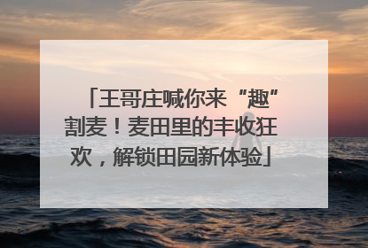 王哥庄喊你来“趣”割麦！麦田里的丰收狂欢，解锁田园新体验
