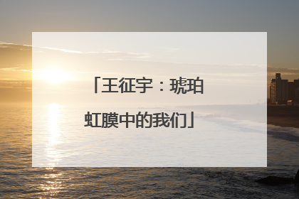 王征宇：琥珀虹膜中的我们