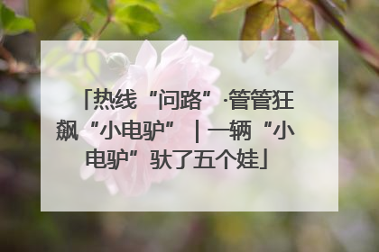 热线“问路”·管管狂飙“小电驴”｜一辆“小电驴”驮了五个娃