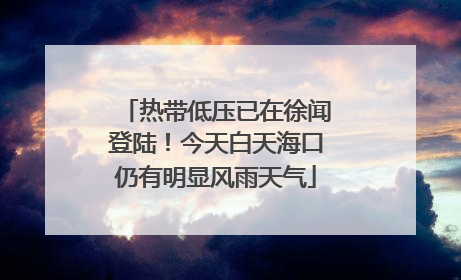 热带低压已在徐闻登陆！今天白天海口仍有明显风雨天气