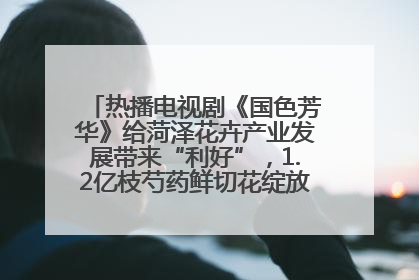 热播电视剧《国色芳华》给菏泽花卉产业发展带来“利好”，1.2亿枝芍药鲜切花绽放“国色芳华”