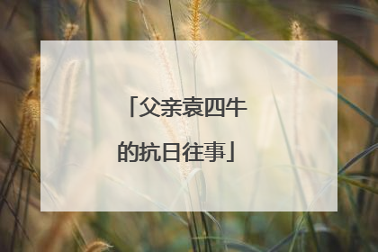 父亲袁四牛的抗日往事