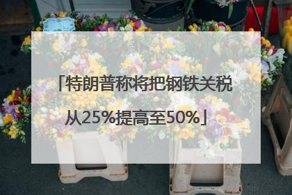 特朗普称将把钢铁关税从25%提高至50%