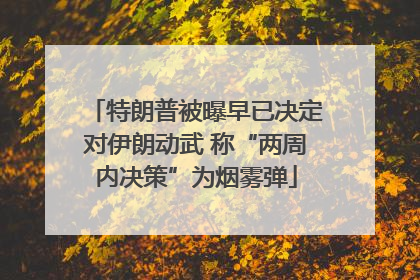 特朗普被曝早已决定对伊朗动武 称“两周内决策”为烟雾弹