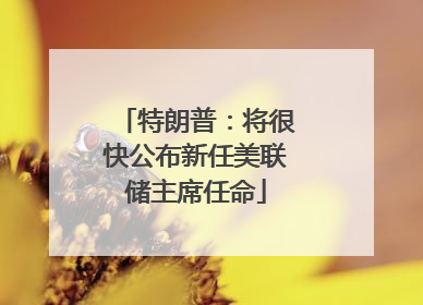 特朗普：将很快公布新任美联储主席任命