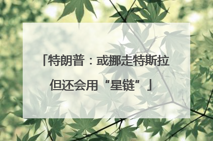 特朗普：或挪走特斯拉 但还会用“星链”