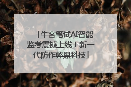 牛客笔试AI智能监考震撼上线！新一代防作弊黑科技