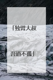 独臂大叔 吾道不孤