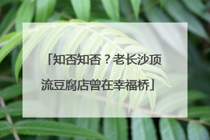 知否知否？老长沙顶流豆腐店曾在幸福桥