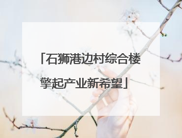 石狮港边村综合楼擎起产业新希望
