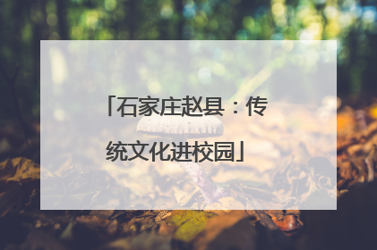 石家庄赵县：传统文化进校园