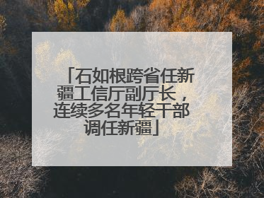 石如根跨省任新疆工信厅副厅长，连续多名年轻干部调任新疆