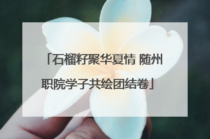 石榴籽聚华夏情 随州职院学子共绘团结卷