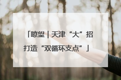 瞭望｜天津“大”招打造“双循环支点”