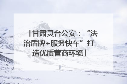 甘肃灵台公安：“法治盾牌+服务快车”打造优质营商环境