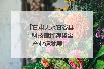 甘肃天水甘谷县：科技赋能辣椒全产业链发展