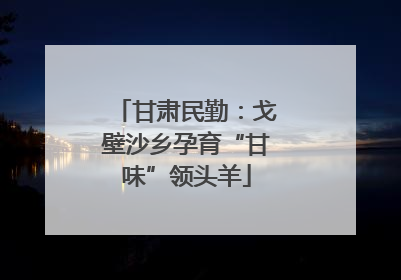 甘肃民勤：戈壁沙乡孕育“甘味”领头羊