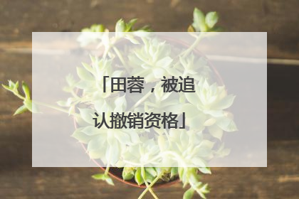 田蓉，被追认撤销资格
