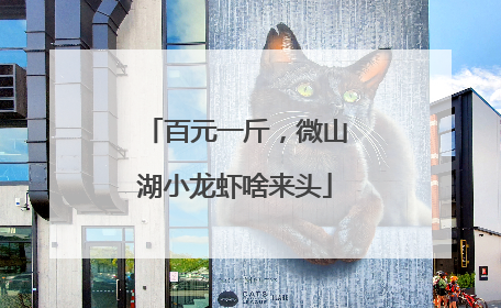 百元一斤，微山湖小龙虾啥来头