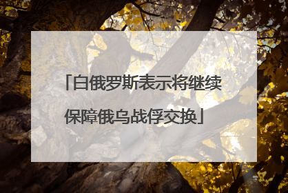 白俄罗斯表示将继续保障俄乌战俘交换
