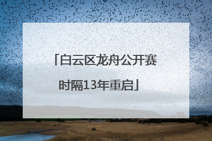 白云区龙舟公开赛时隔13年重启