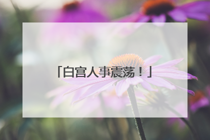 白宫人事震荡！