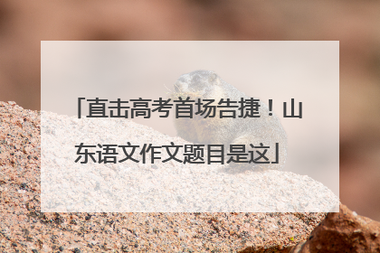 直击高考首场告捷！山东语文作文题目是这