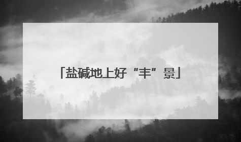 盐碱地上好“丰”景