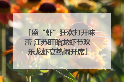盛“虾”狂欢打开味蕾 江苏盱眙龙虾节欢乐龙虾宴热闹开席