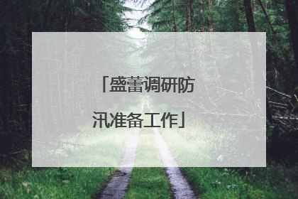 盛蕾调研防汛准备工作