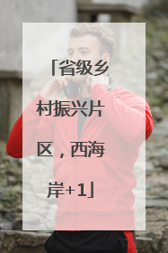 省级乡村振兴片区，西海岸+1