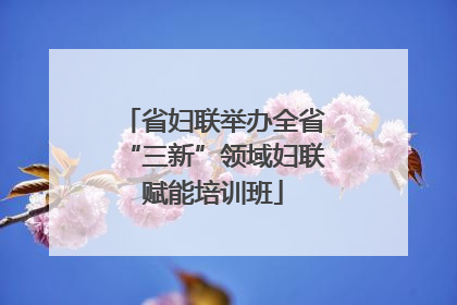 省妇联举办全省“三新”领域妇联赋能培训班