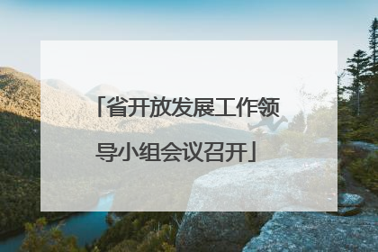 省开放发展工作领导小组会议召开