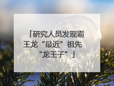 研究人员发现霸王龙“最近”祖先“龙王子”