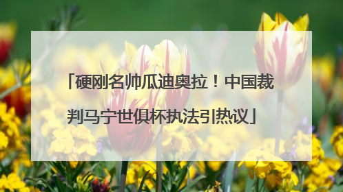 硬刚名帅瓜迪奥拉！中国裁判马宁世俱杯执法引热议