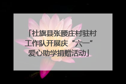 社旗县张腰庄村驻村工作队开展庆“六一”爱心助学捐赠活动