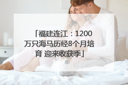 福建连江：1200万只海马历经8个月培育 迎来收获季