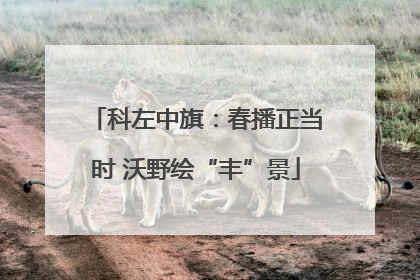 科左中旗：春播正当时 沃野绘“丰”景