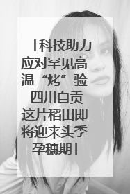 科技助力应对罕见高温“烤”验 四川自贡这片稻田即将迎来头季孕穗期
