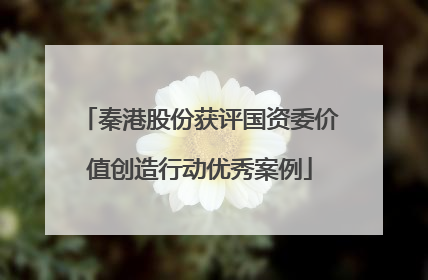 秦港股份获评国资委价值创造行动优秀案例