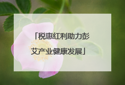 税惠红利助力彭艾产业健康发展