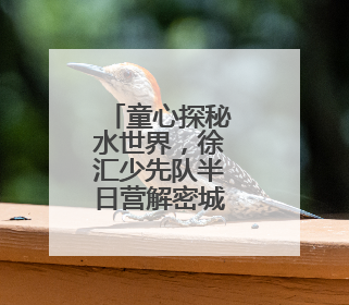 童心探秘水世界，徐汇少先队半日营解密城市水生态